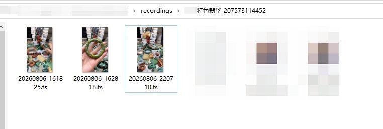 这张图片显示的是电脑磁盘的文件目录界面，路径为“recordings”下的“特色