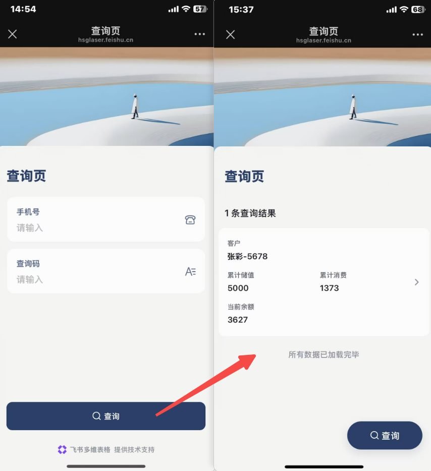 这两张图是用于顾客查询会员储值余额的查询页界面，左侧界面展示了顾客查询前需要输入